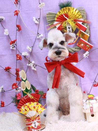 20230117イヴくん